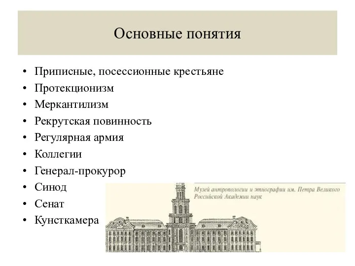 Основные понятия Приписные, посессионные крестьяне Протекционизм Меркантилизм Рекрутская повинность Регулярная армия Коллегии Генерал-прокурор Синод Сенат Кунсткамера