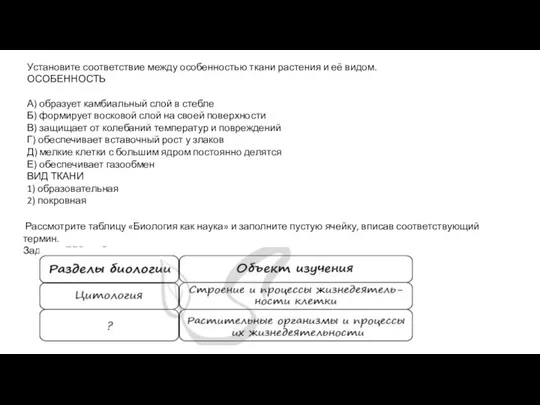 Установите соответствие между особенностью ткани растения и её видом. ОСОБЕННОСТЬ А) образует