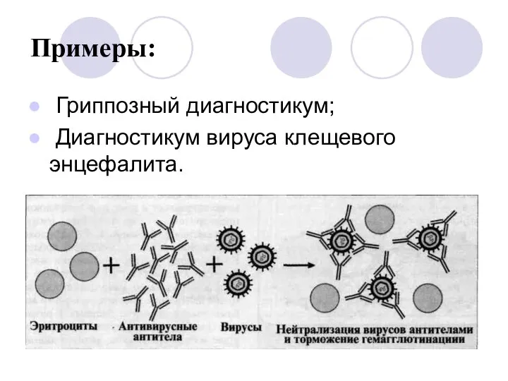 Примеры: Гриппозный диагностикум; Диагностикум вируса клещевого энцефалита.