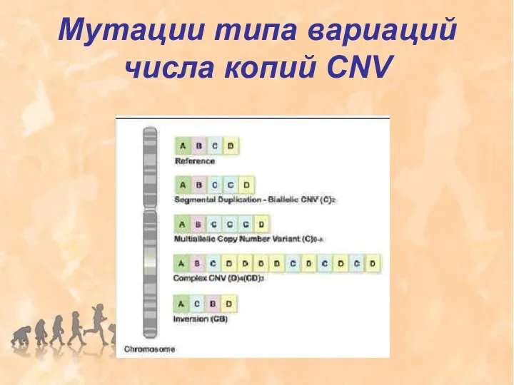 Мутации типа вариаций числа копий CNV