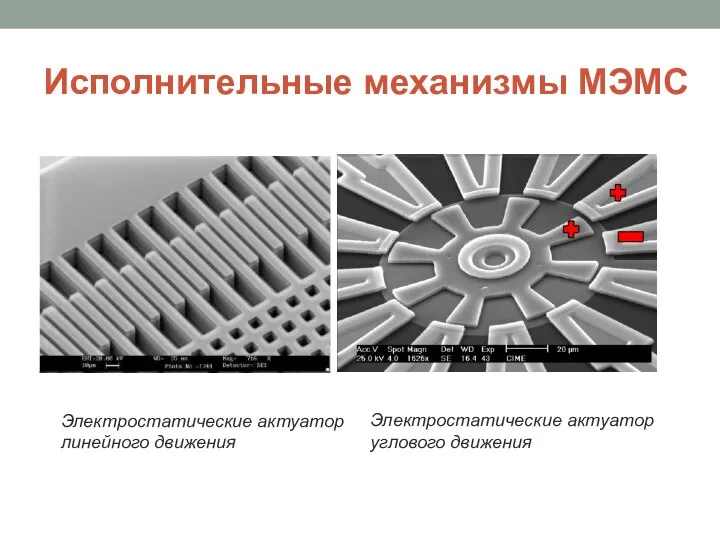 Исполнительные механизмы МЭМС Электростатические актуатор линейного движения Электростатические актуатор углового движения