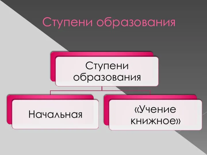 Ступени образования