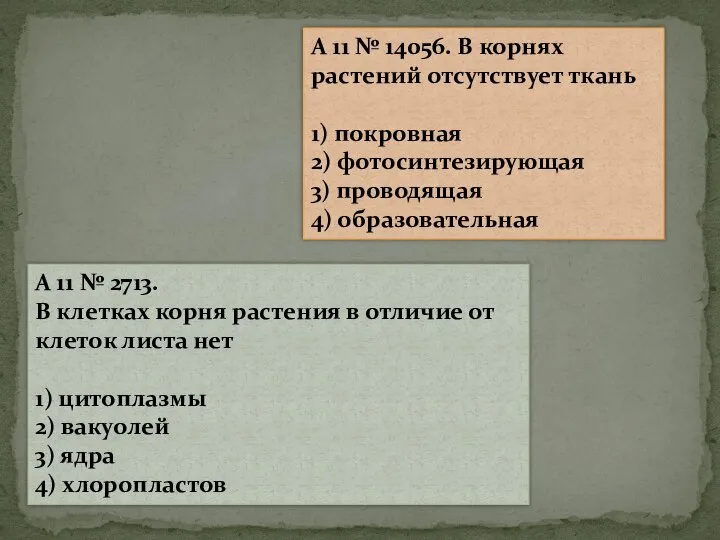 A 11 № 2713. В клетках корня растения в отличие от клеток