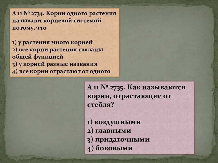 A 11 № 2734. Корни одного растения называют корневой системой потому, что