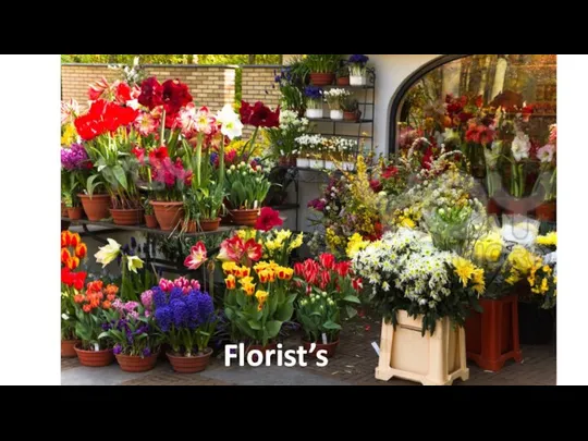 Florist’s