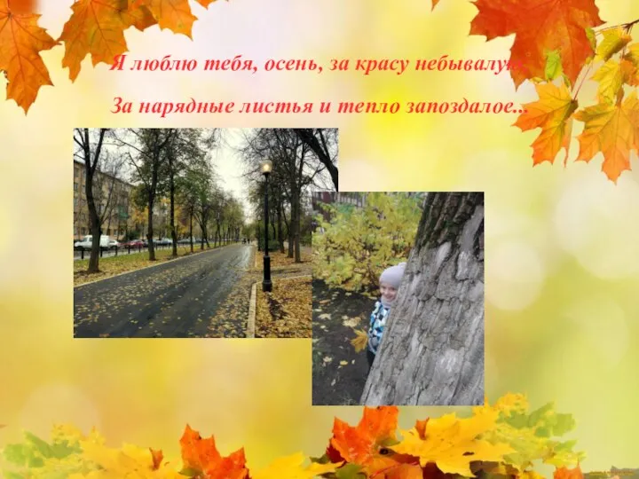 Я люблю тебя, осень, за красу небывалую, За нарядные листья и тепло запоздалое...