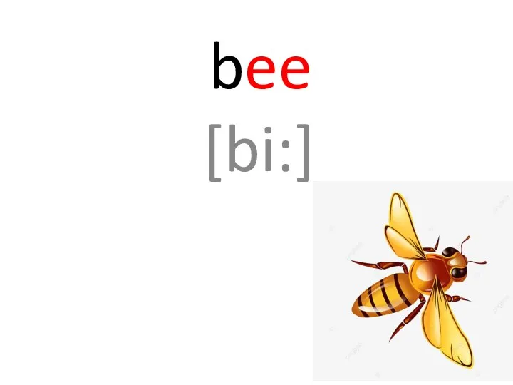 bee [bi:]