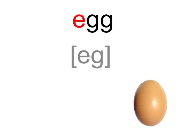 egg [eg]