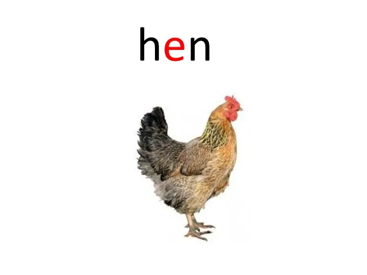 hen