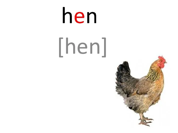 [hen]