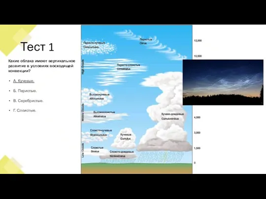 Тест 1 Какие облака имеют вертикальное развитие в условиях восходящей конвекции? А.