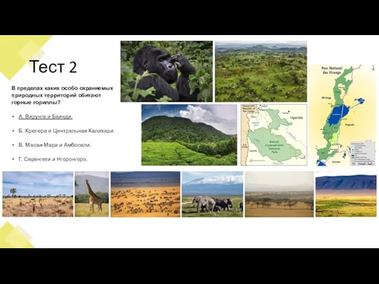 Тест 2 В пределах каких особо охраняемых природных территорий обитают горные гориллы?
