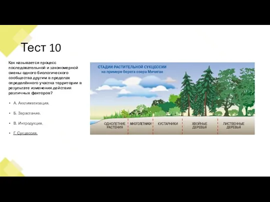 Тест 10 Как называется процесс последовательной и закономерной смены одного биологического сообщества