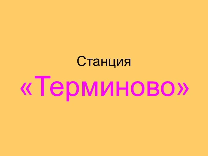 Станция «Терминово»