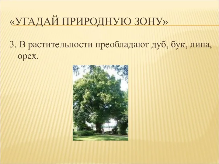 «УГАДАЙ ПРИРОДНУЮ ЗОНУ» 3. В растительности преобладают дуб, бук, липа, орех.