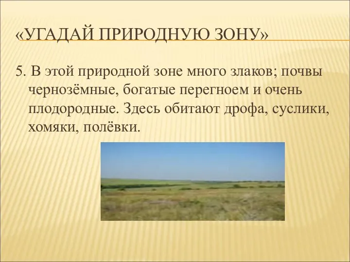 «УГАДАЙ ПРИРОДНУЮ ЗОНУ» 5. В этой природной зоне много злаков; почвы чернозёмные,