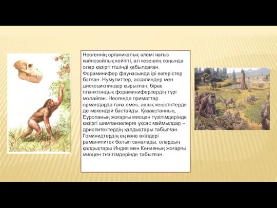 Неогеннің органикалық әлемі нағыз кайнозойлық кейіпті, ал кезеңнің соңында олар қазіргі пішінді