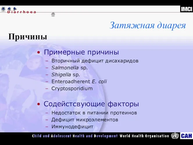 Примерные причины Вторичный дефицит дисахаридов Salmonella sp. Shigella sp. Enteroadherent E. coli