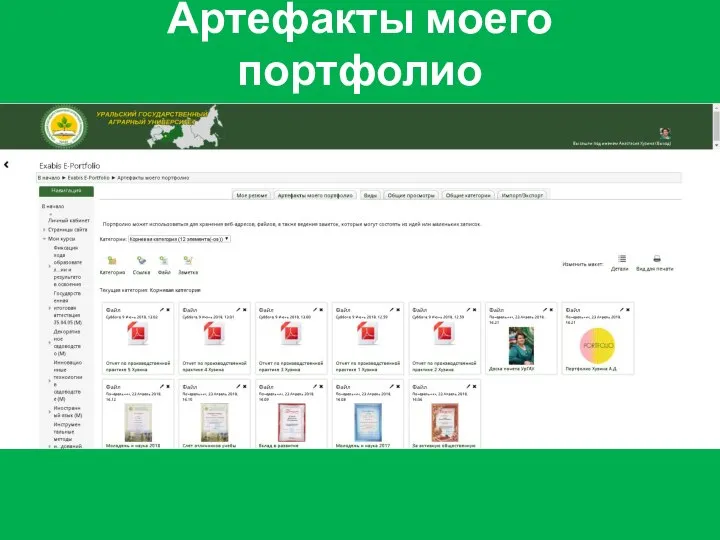 Артефакты моего портфолио