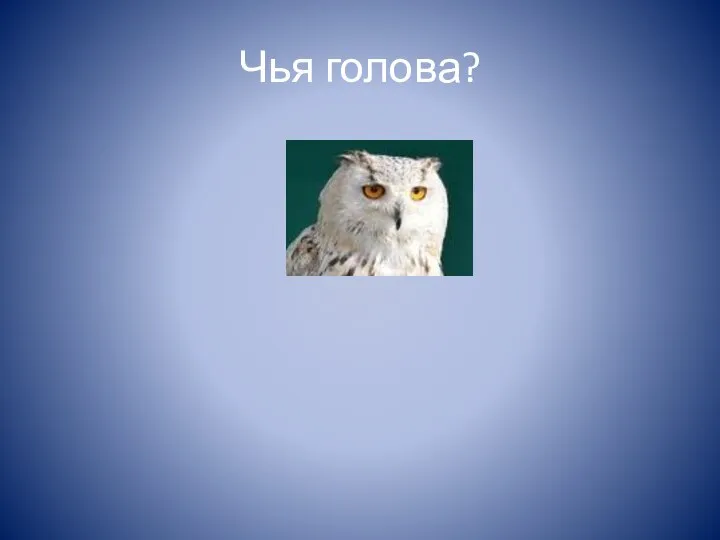 Чья голова?