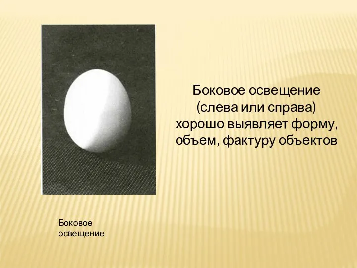 Боковое освещение Боковое освещение (слева или справа) хорошо выявляет форму, объем, фактуру объектов