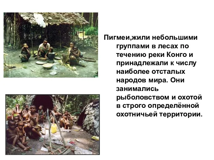 Пигмеи,жили небольшими группами в лесах по течению реки Конго и принадлежали к