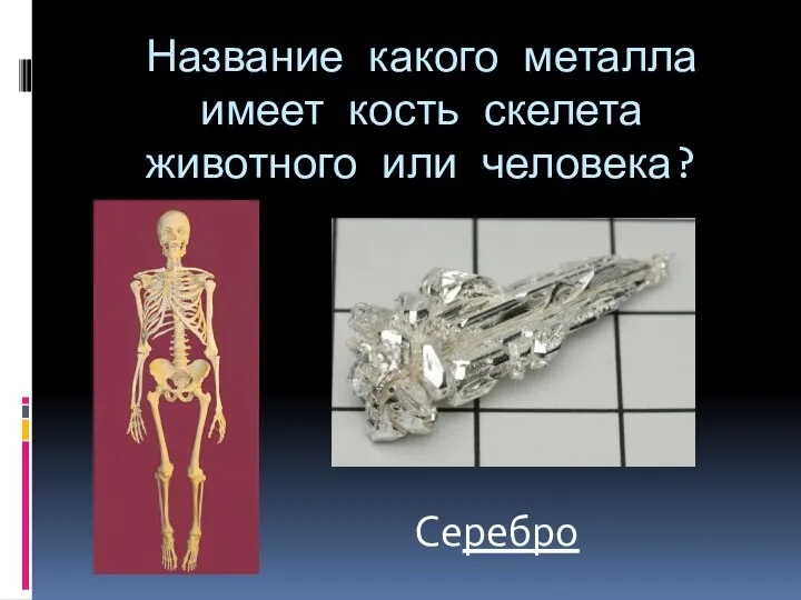 Название какого металла имеет кость скелета животного или человека? Серебро