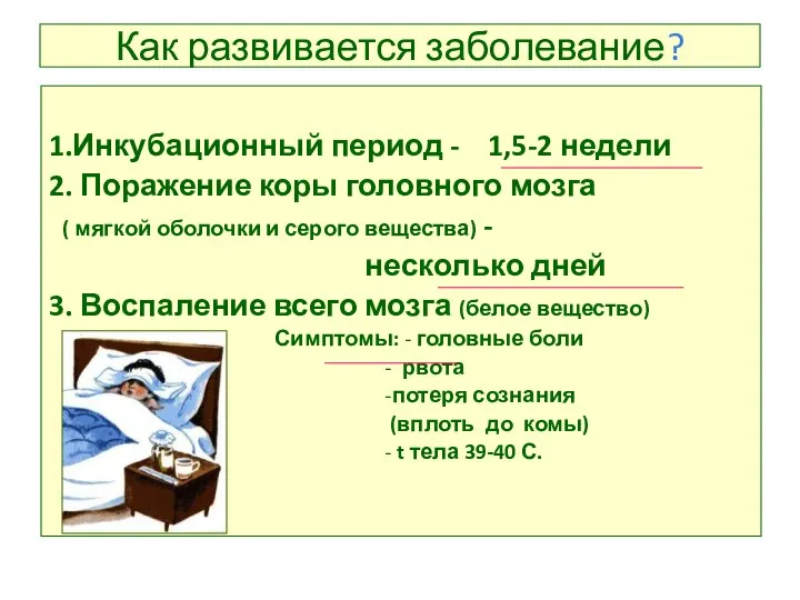 Как развивается заболевание? 1.Инкубационный период - 1,5-2 недели 2. Поражение коры головного