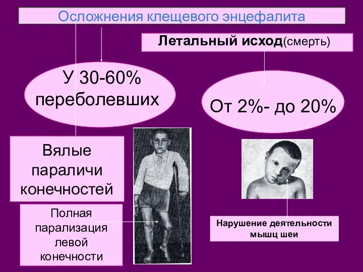 Осложнения клещевого энцефалита У 30-60% переболевших От 2%- до 20% Летальный исход(смерть)