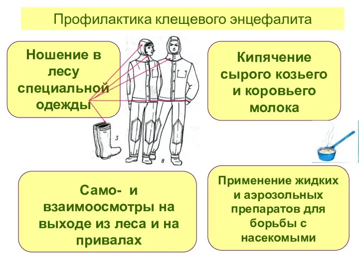 Профилактика клещевого энцефалита Ношение в лесу специальной одежды Само- и взаимоосмотры на