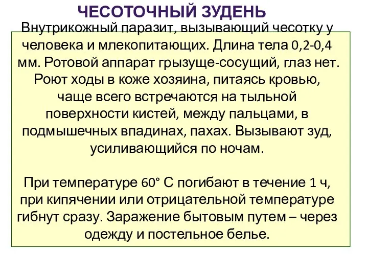 Внутрикожный паразит, вызывающий чесотку у человека и млекопитающих. Длина тела 0,2-0,4 мм.