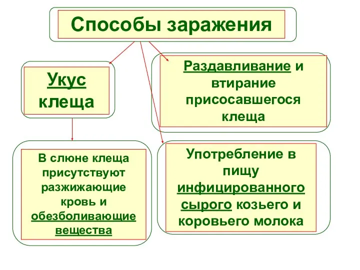 Способы заражения Укус клеща Раздавливание и втирание присосавшегося клеща Употребление в пищу