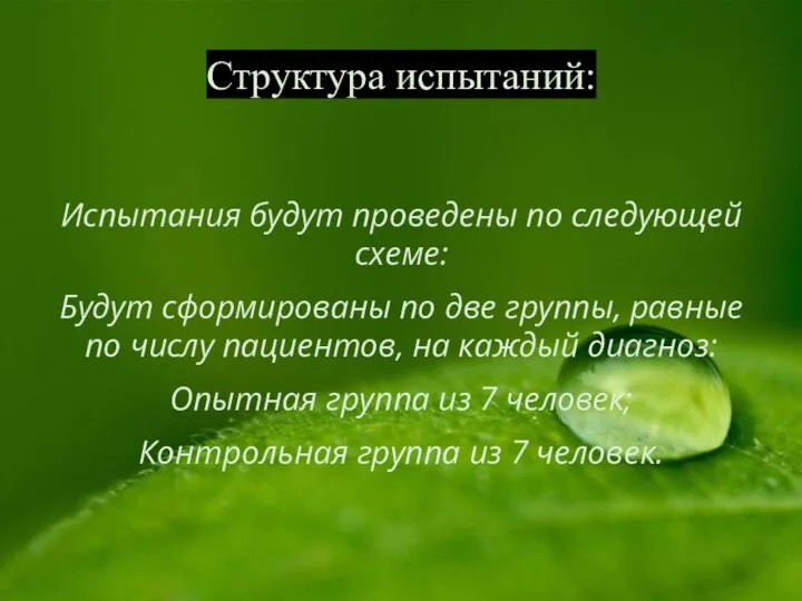 Структура испытаний: Испытания будут проведены по следующей схеме: Будут сформированы по две