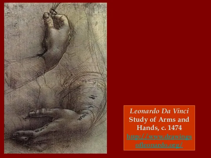 Leonardo Da Vinci Study of Arms and Hands, c. 1474 http://www.drawingsofleonardo.org/