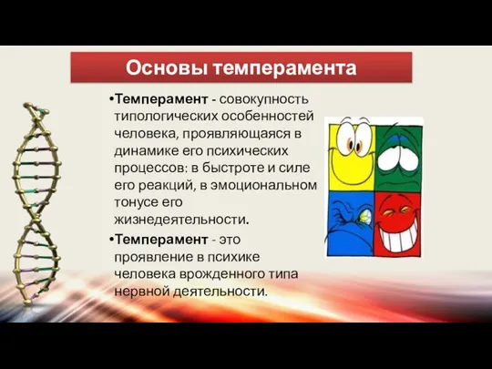 Основы темперамента Темперамент - совокупность типологических особенностей человека, проявляющаяся в динамике его