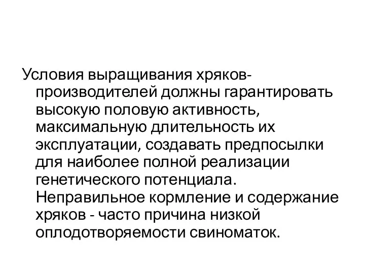 Условия выращивания хряков-производителей должны гарантировать высокую половую активность, максимальную длительность их эксплуатации,