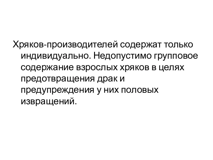 Хряков-производителей содержат только индивидуально. Недопустимо групповое содержание взрослых хряков в целях предотвращения