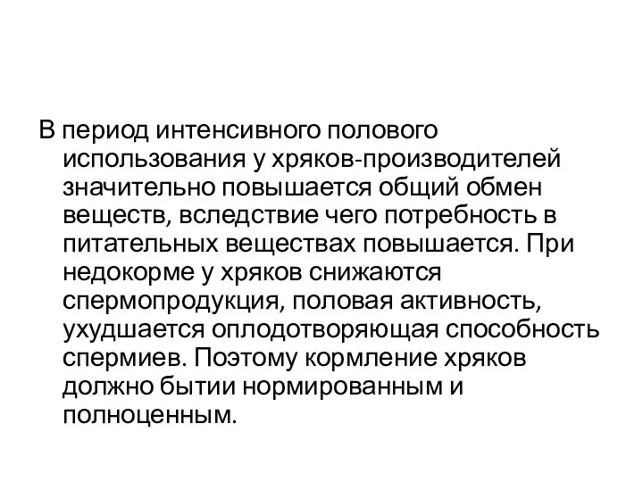 В период интенсивного полового использования у хряков-производителей значительно повышается общий обмен веществ,