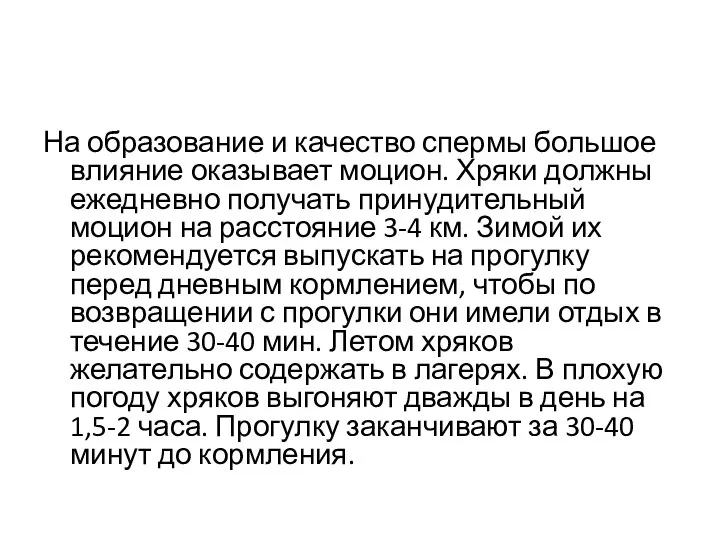 На образование и качество спермы большое влияние оказывает моцион. Хряки должны ежедневно