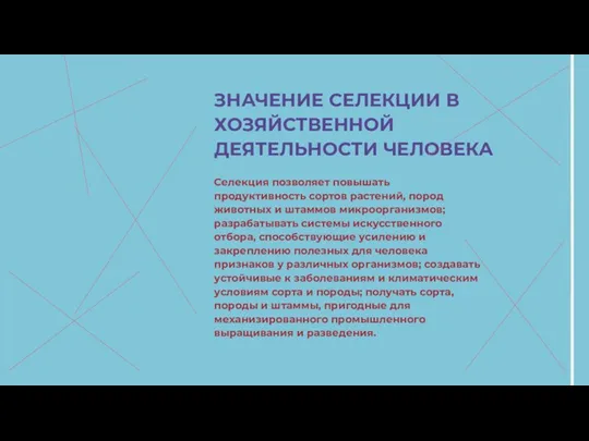 ЗНАЧЕНИЕ СЕЛЕКЦИИ В ХОЗЯЙСТВЕННОЙ ДЕЯТЕЛЬНОСТИ ЧЕЛОВЕКА Селекция позволяет повышать продуктивность сортов растений,