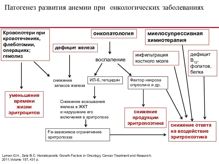 Lyman G.H., Dale В.С. Hematopoietic Growth Factors in Oncology, Cancer Treatment and