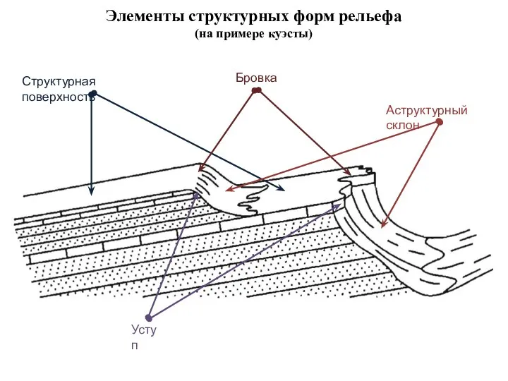 Элементы структурных форм рельефа (на примере куэсты)