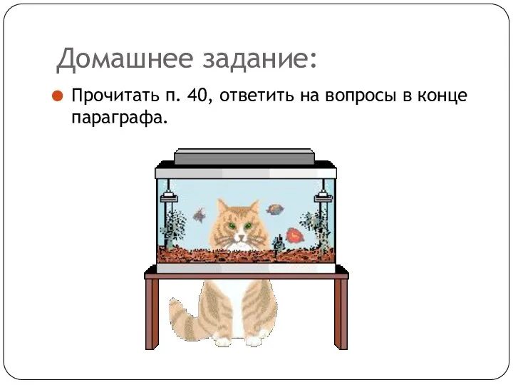 Домашнее задание: Прочитать п. 40, ответить на вопросы в конце параграфа.