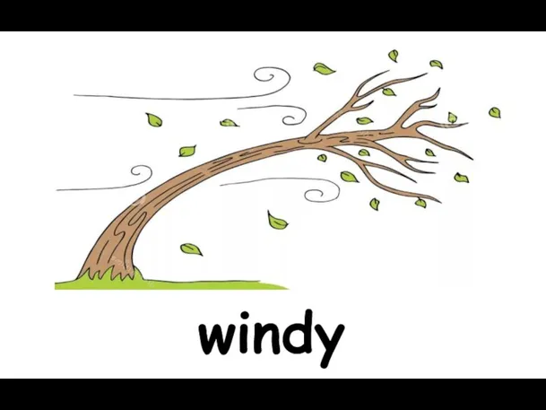 windy