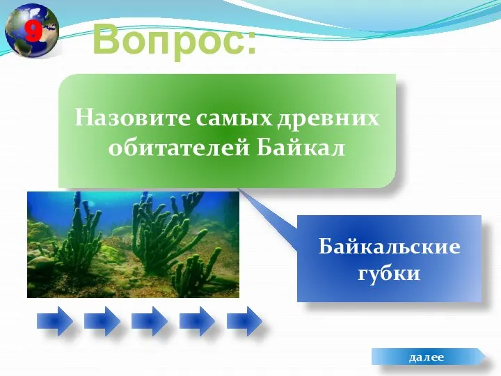 Вопрос: Байкальские губки Назовите самых древних обитателей Байкал далее