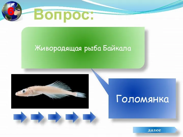 Вопрос: Голомянка Живородящая рыба Байкала далее