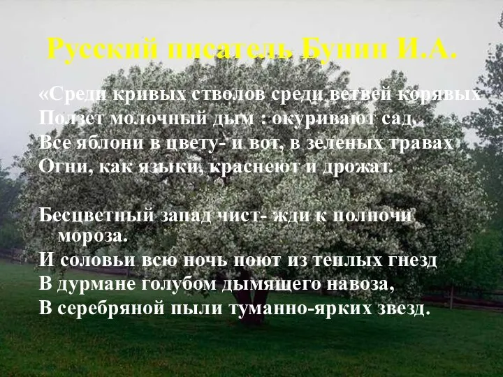 Русский писатель Бунин И.А. «Среди кривых стволов среди ветвей корявых Ползет молочный