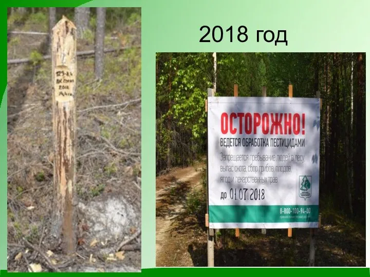 2018 год