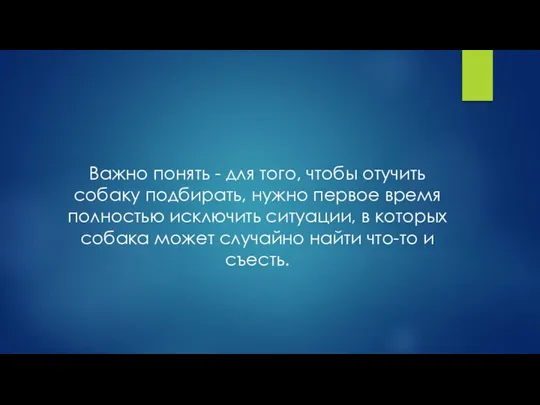 Важно понять - для того, чтобы отучить собаку подбирать, нужно первое время