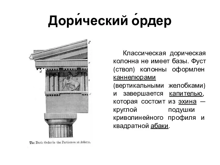 Дори́ческий о́рдер Классическая дорическая колонна не имеет базы. Фуст (ствол) колонны оформлен